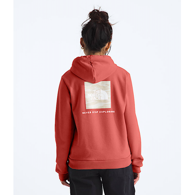 Women's Evolution Box NSE Fill Light Hoodie-Graphic