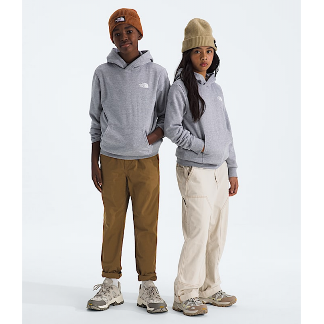Teen Evolution Box NSE Pullover Hoodie-Graphic