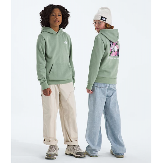 Teen Evolution Box NSE Pullover Hoodie-Graphic