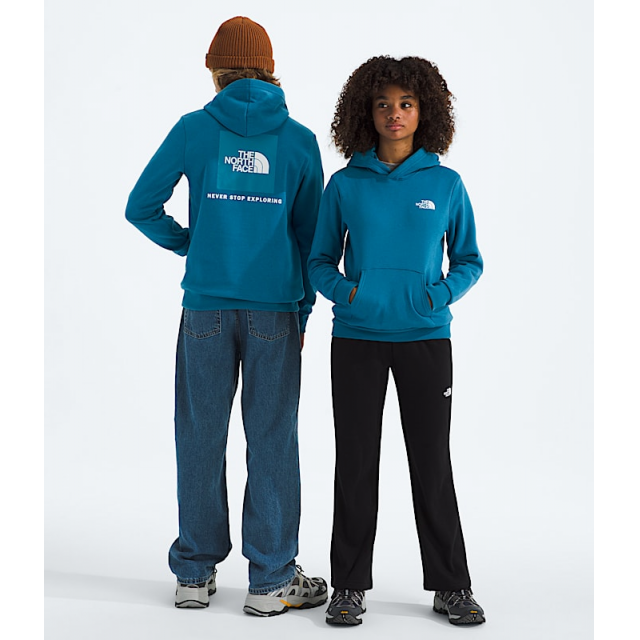 Teen Evolution Box NSE Pullover Hoodie