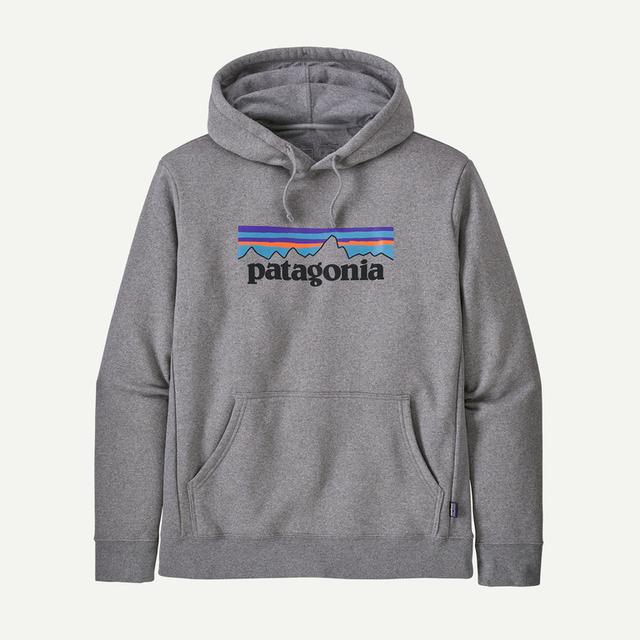 P-6 Logo Uprisal Hoody - Earth's Edge