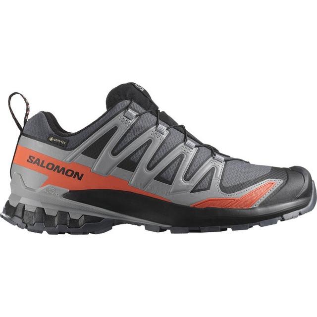 Xa pro 3d v9 gore-tex