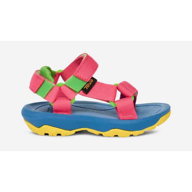 Toddlers' Hurricane XLT 2