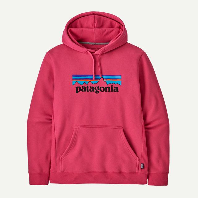 P-6 Logo Uprisal Hoody - Earth's Edge