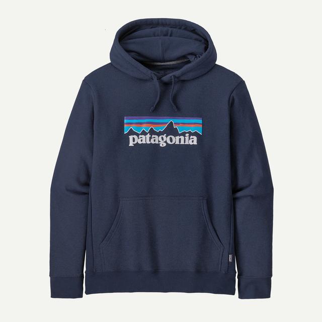 P-6 Logo Uprisal Hoody - Earth's Edge