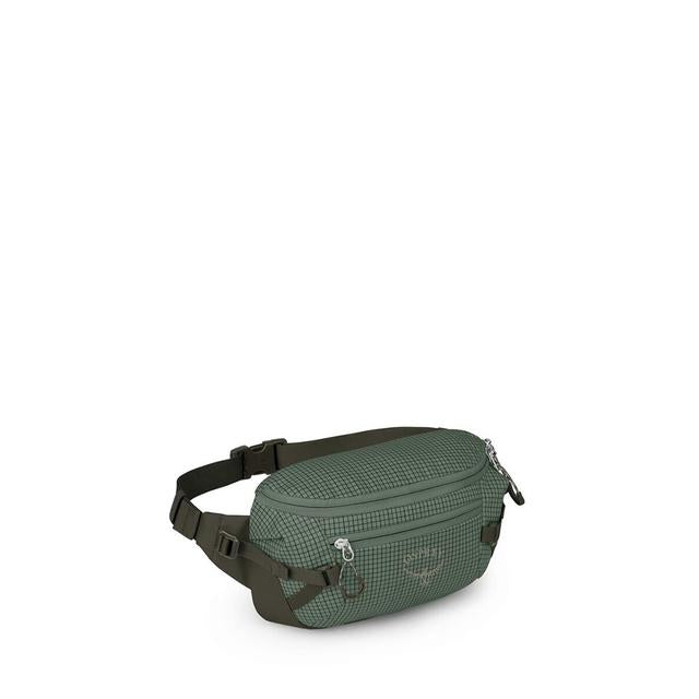 Transporter Waist Pack