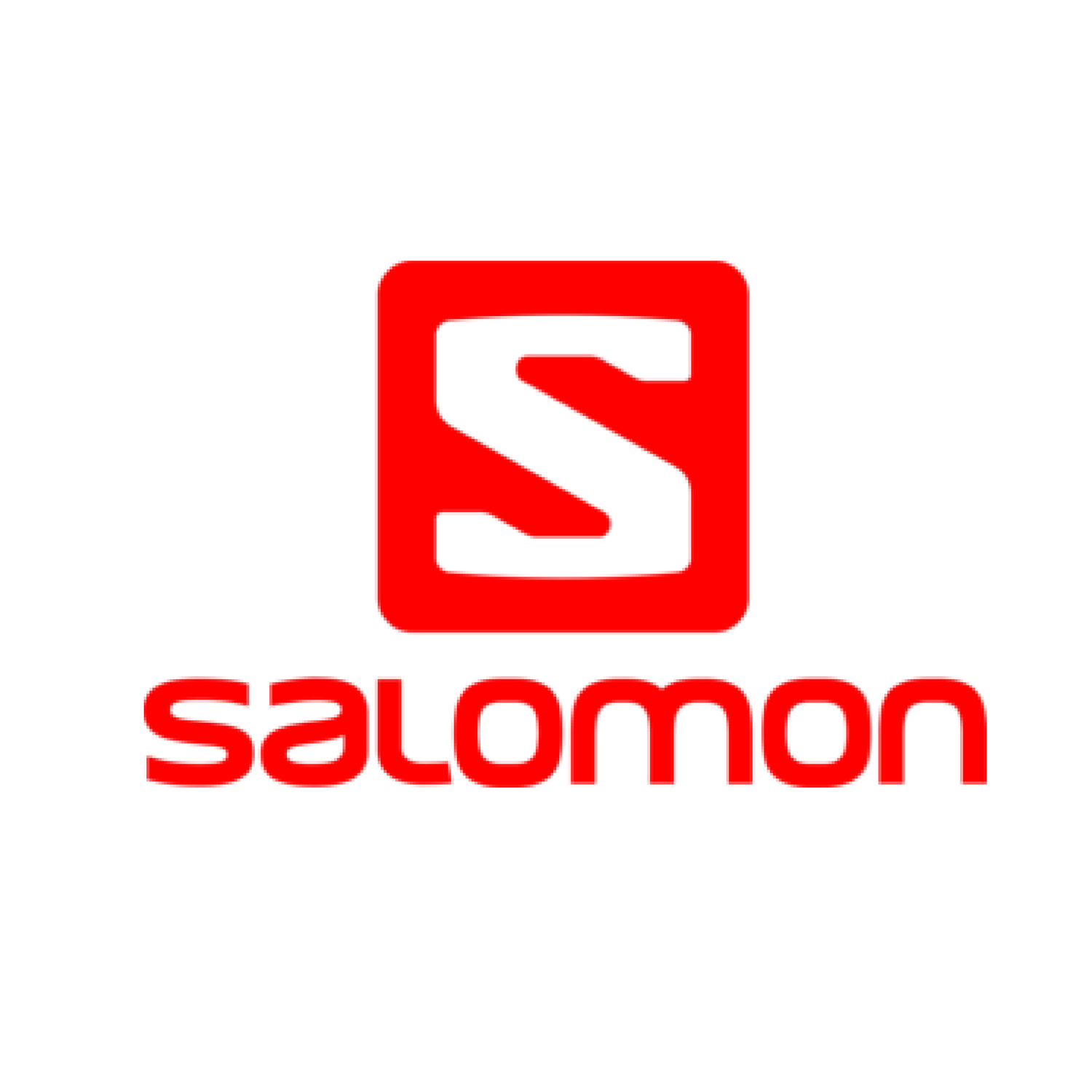 Salomon