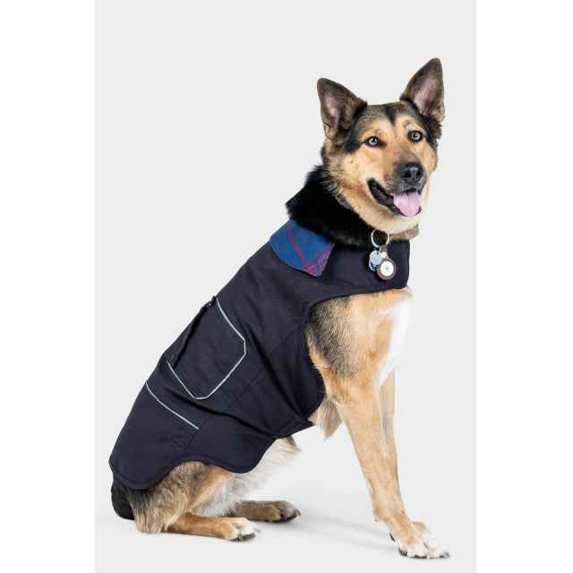 Women's Shop Dog Jacket