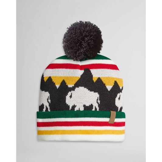 Retro Beanie Hat