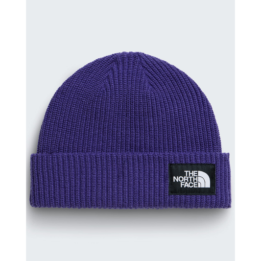Salty Lined Beanie
