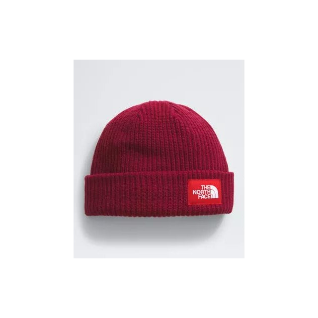 Salty Lined Beanie