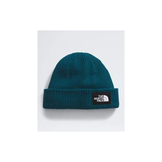 Salty Lined Beanie