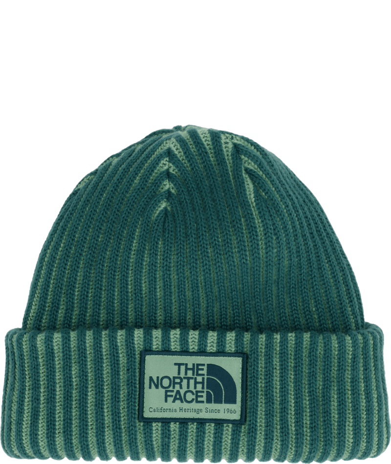 Salty Lined SE Beanie