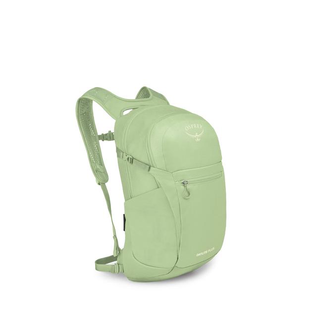 Daylite Plus