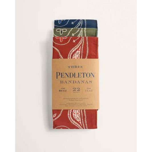 Western 3-Pack Bandana