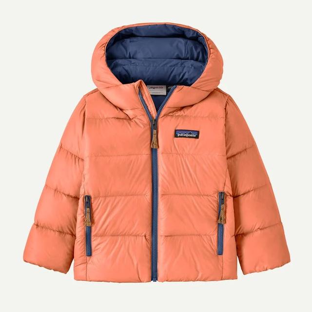Baby Hi-Loft Down Sweater Hoody