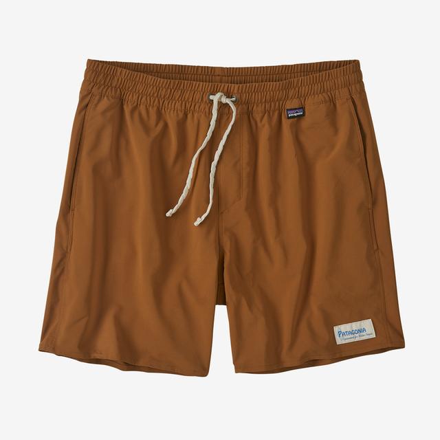 Men's Hydropeak Volley Shorts - 16 in.