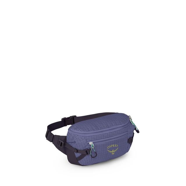 Transporter Waist Pack - Earth's Edge