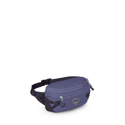 Transporter Waist Pack - Earth's Edge