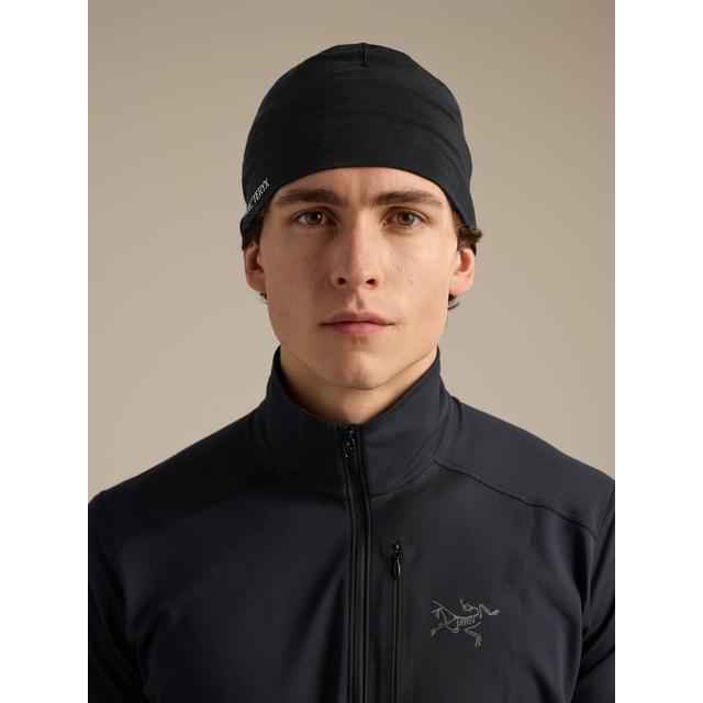 Satoro Merino Toque