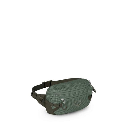 Transporter Waist Pack - Earth's Edge